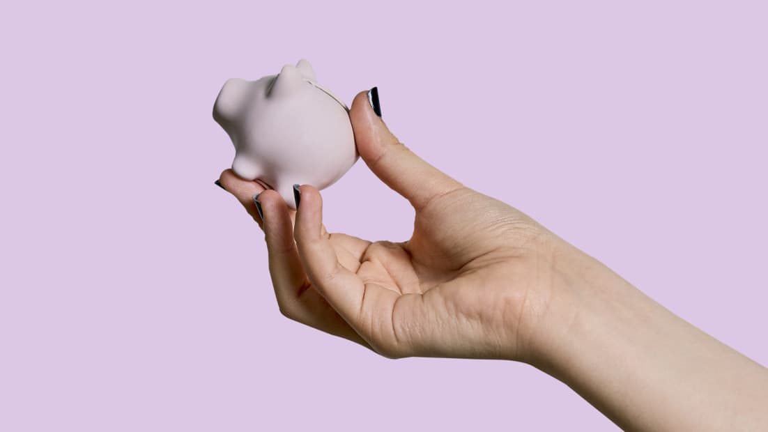 Hand hält kleines Sparschwein