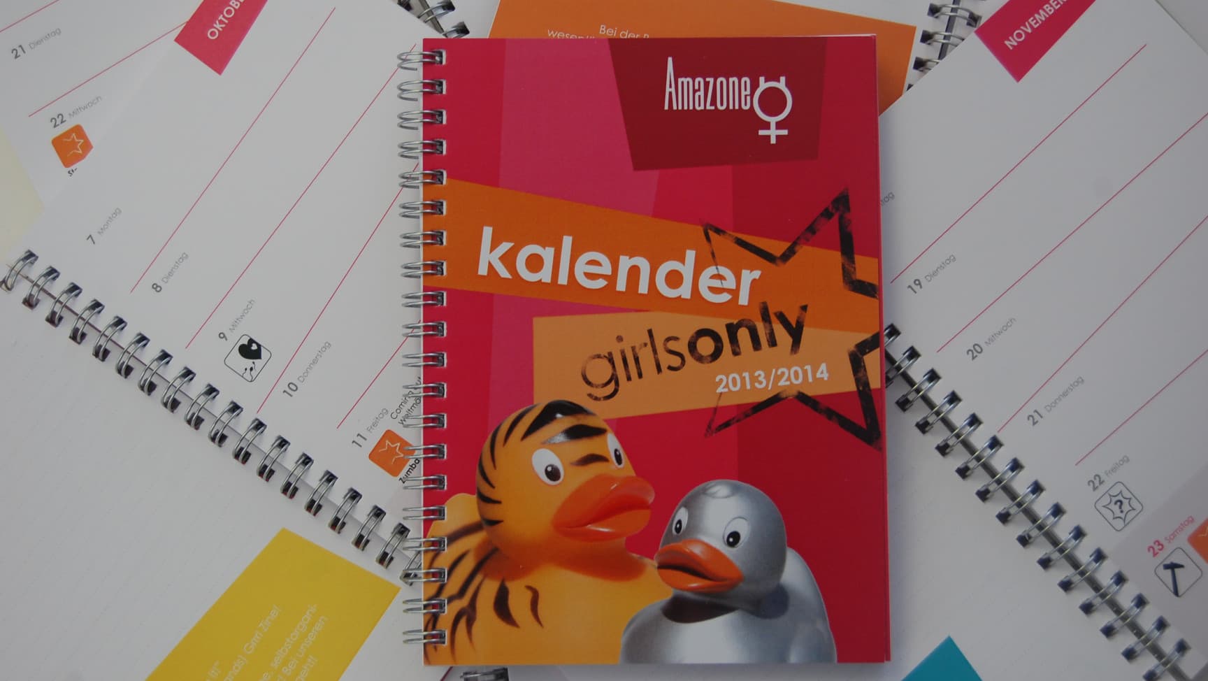 Viele Kalender aus dem Jahr 2013/14 liegen auf. Auf dem Cover sind zwei Plastikenten.