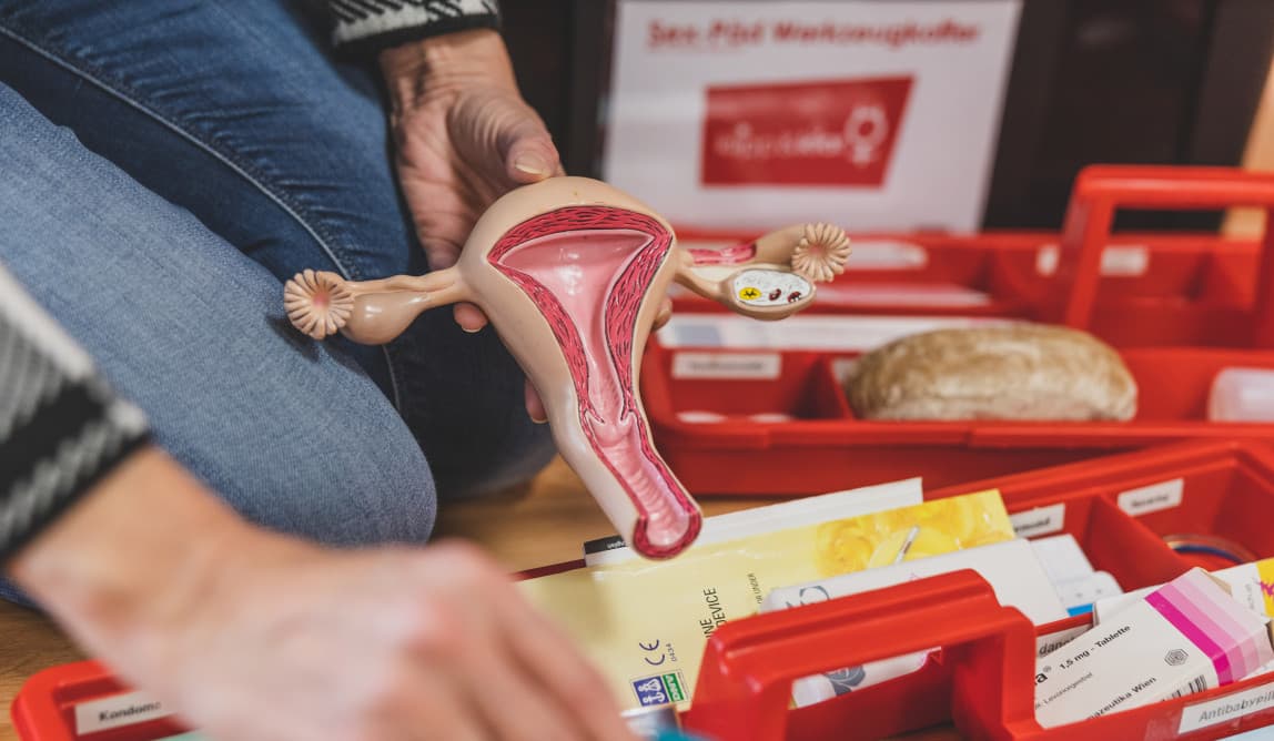 Hand hält das Modell einer Gebärmutter