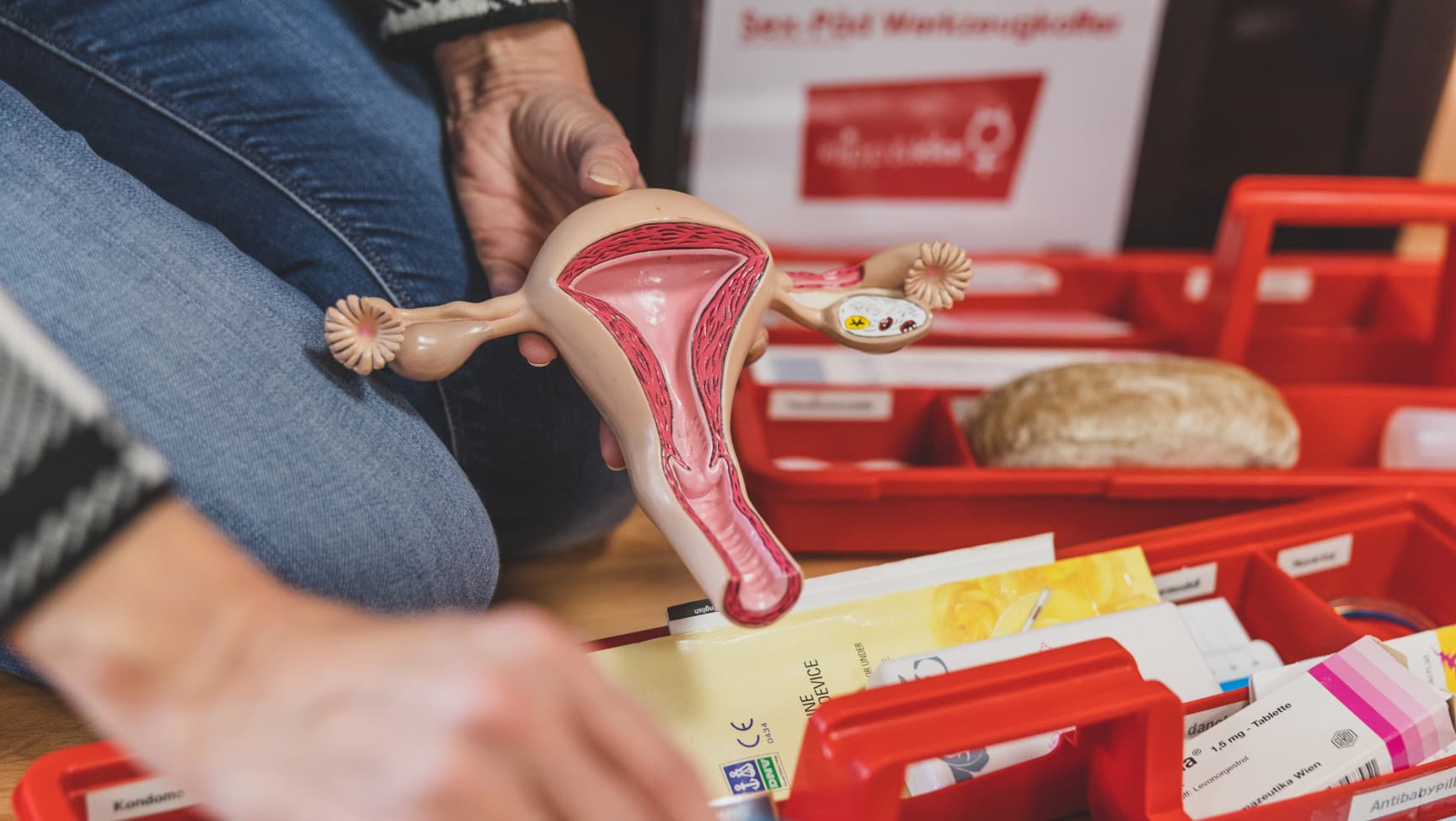 Hand hält das Modell einer Gebärmutter